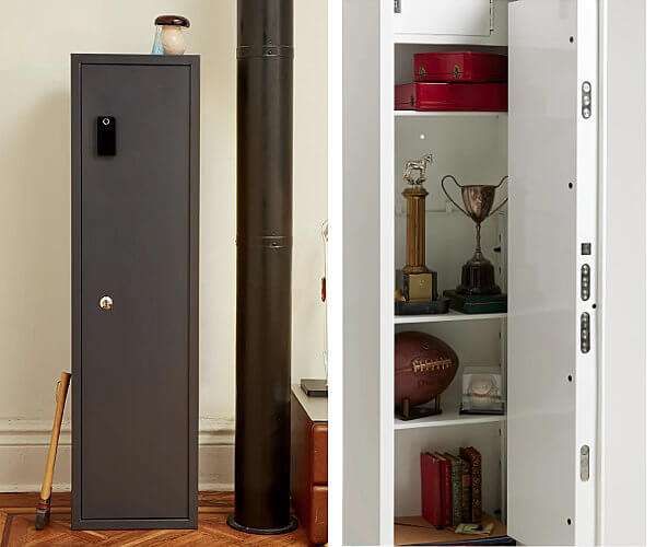 Biocube Professional home safe